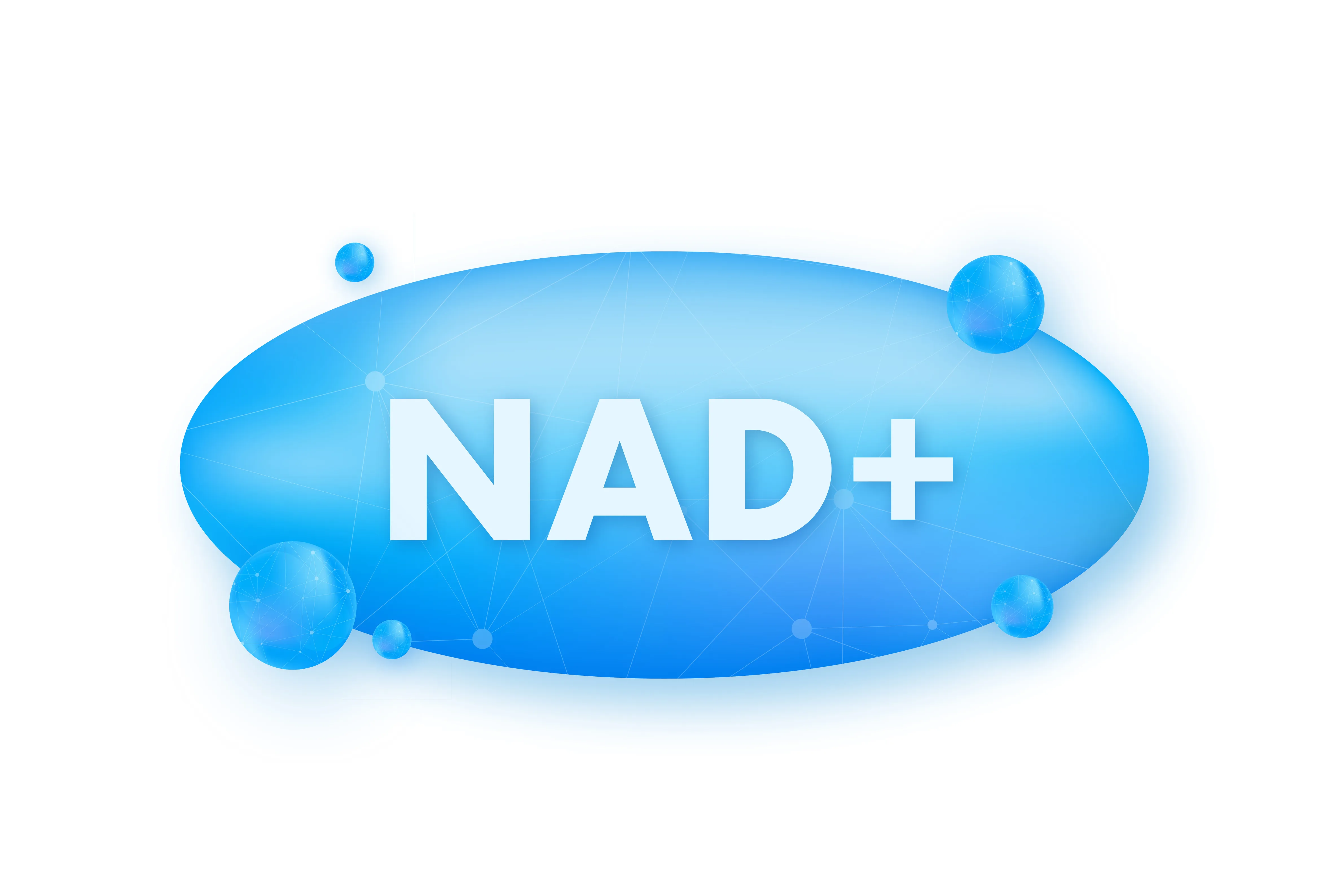 NAD +